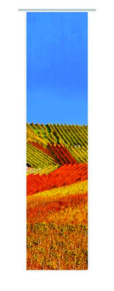 Weinberge mit Motiv